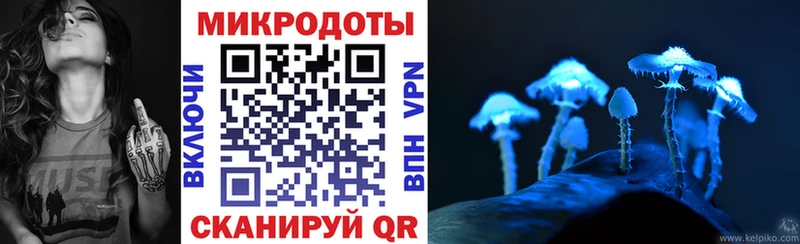 Галлюциногенные грибы Psilocybe  Богданович 