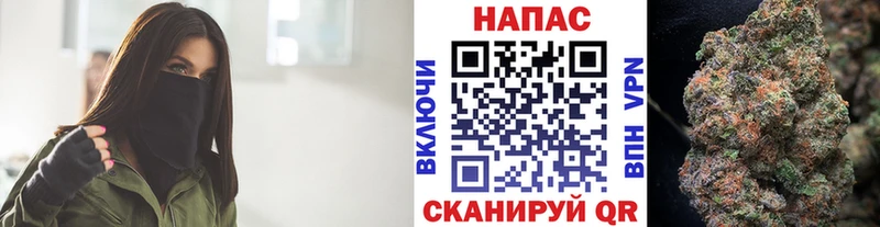 Конопля гибрид  Богданович 